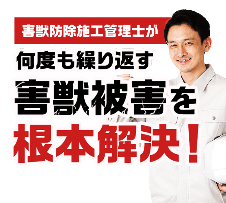 害獣防除施工管理士が何度も繰り返す害獣被害を根本解決