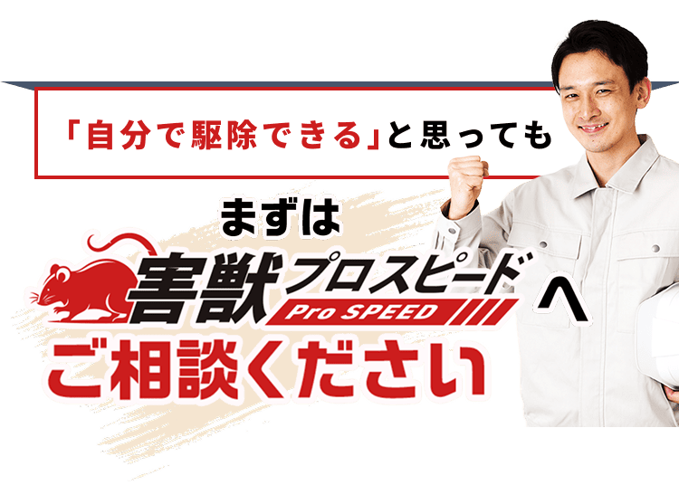 「自分で駆除できる」と思ってもまずは害獣プロスピードへご相談ください