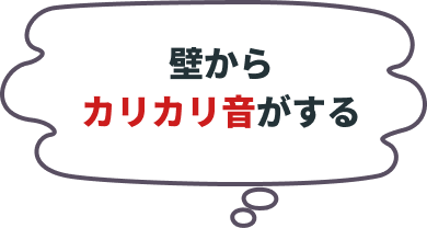 壁からカリカリ音がする