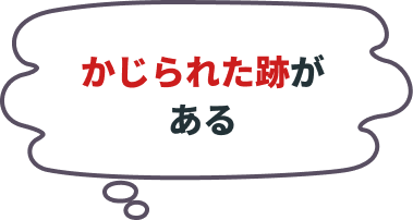 かじられた跡がある