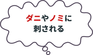 ダニやノミに刺される