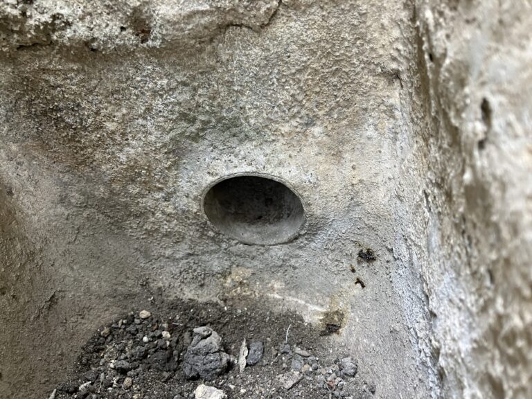 大阪府東大阪市イタチ駆除 – I様