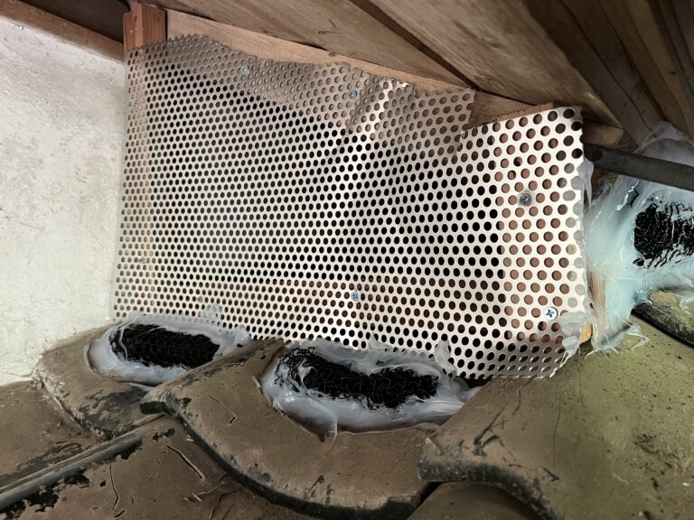 栃木県栃木市アライグマ駆除 – U様