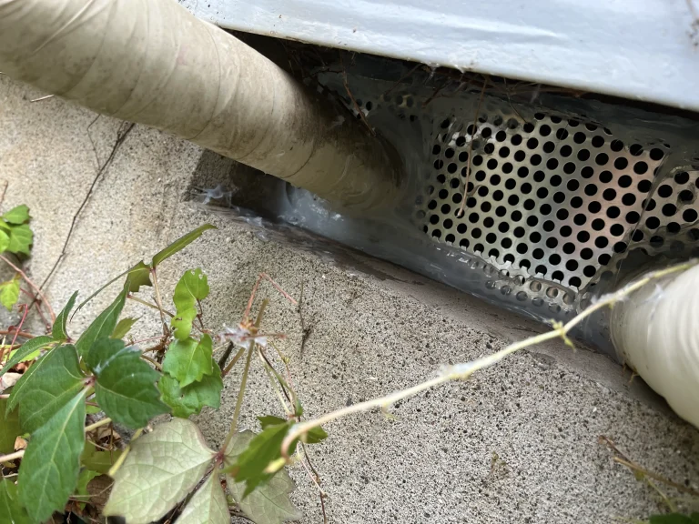 神奈川県横浜市ネズミ駆除 – Y様