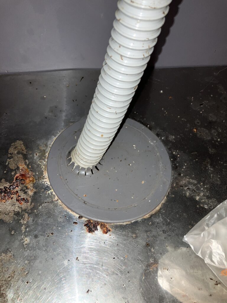 千葉県市川市ネズミ駆除 – I様