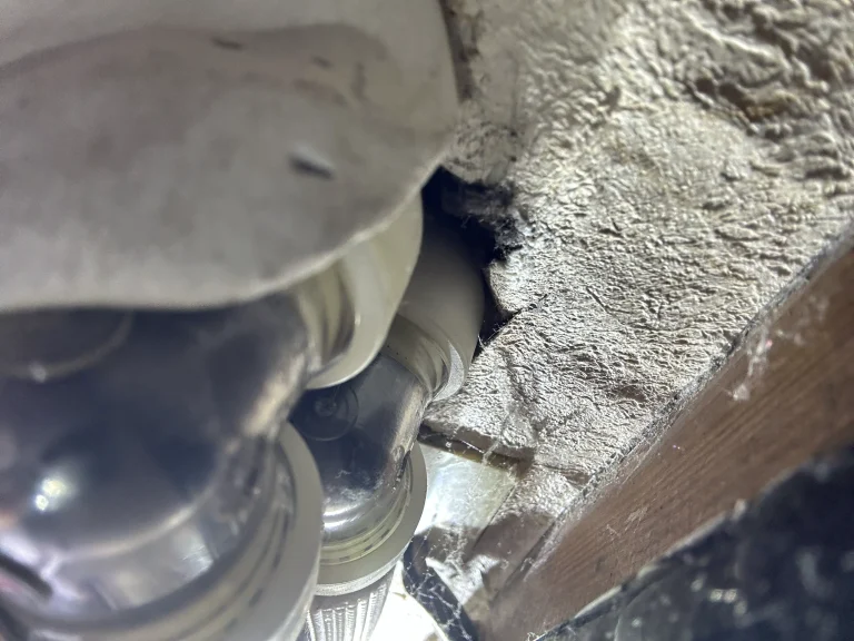 千葉県市川市ネズミ駆除 – W様