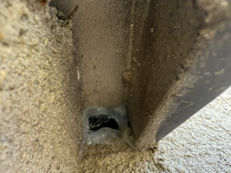 大阪府柏原市コウモリ駆除 – S様