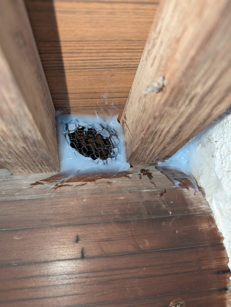 埼玉県飯能市アライグマ駆除 – N様