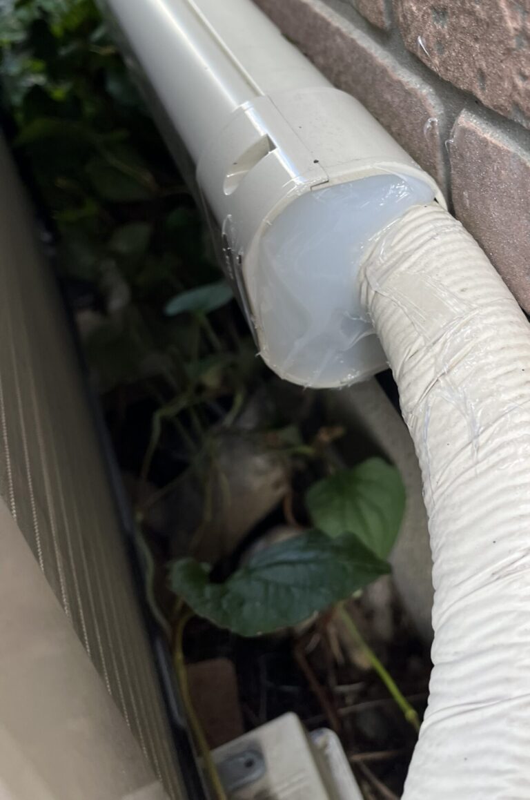 埼玉県川越市ネズミ駆除 – Y様