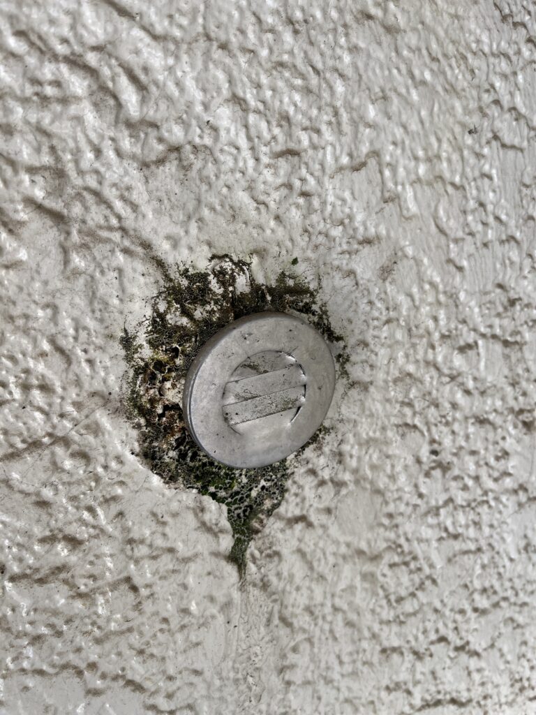 千葉県千葉市コウモリ駆除 – S様