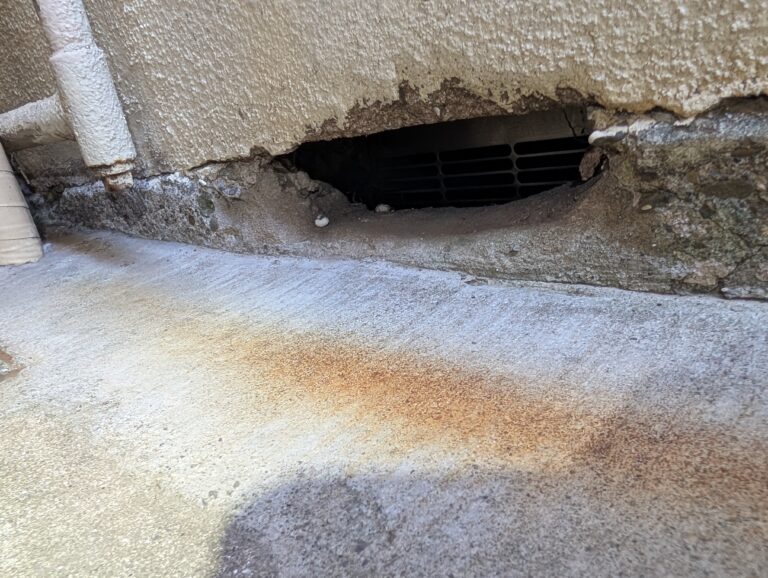 東京都品川区ネズミ駆除 – K様