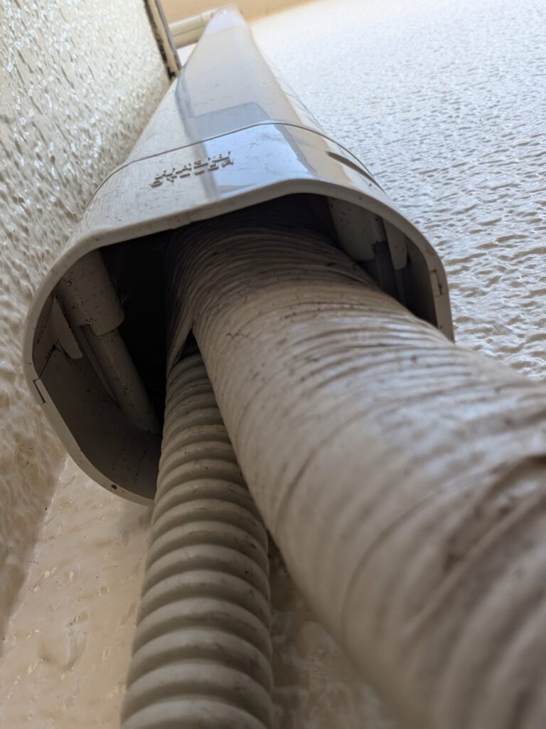 神奈川県藤沢市ネズミ駆除 – N様