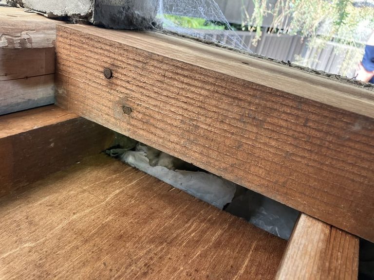 大阪府堺市イタチ駆除 – T様